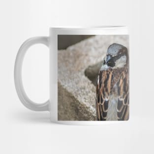 Songbird Mug